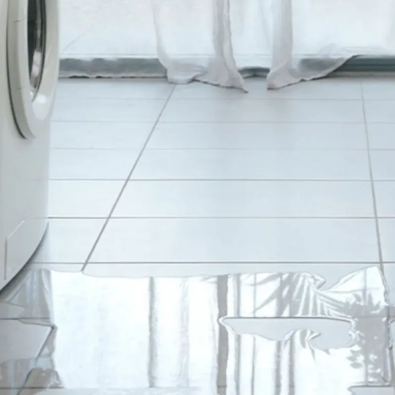 Appliance Leak Cleanup in Cherokee County, SC