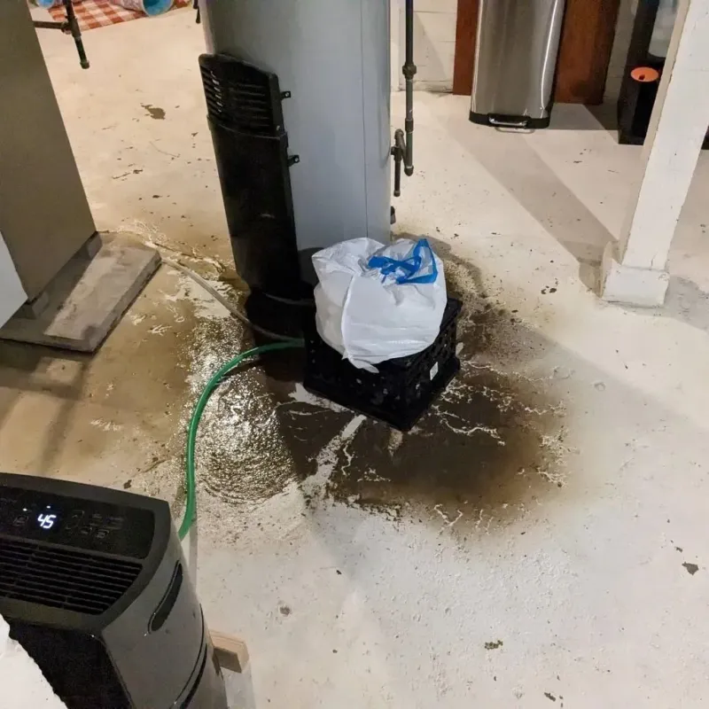 Sewage Backup Cleanup Service in Cherokee County, SC